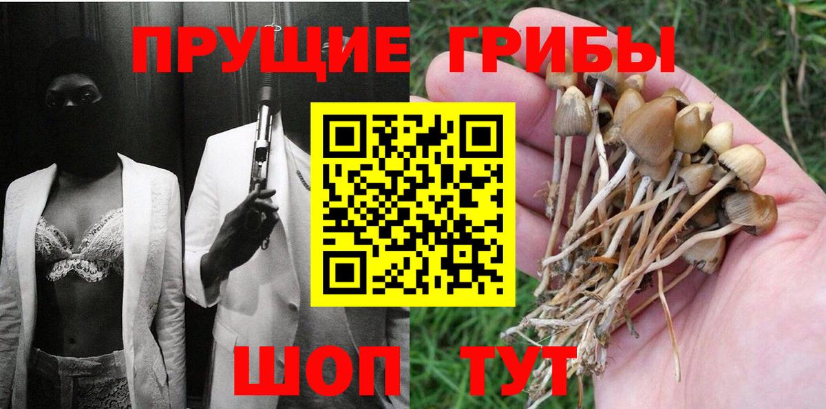 Псилоцибиновые грибы Magic Shrooms  Галлюциногенные грибы Cubensis  Вход с VPN  Клинцы 